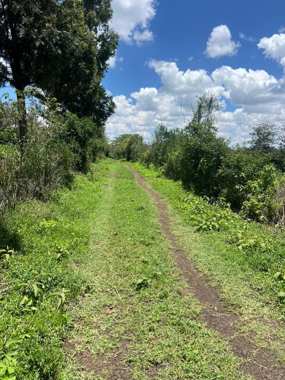 Plot / Land for sale in Upper Matasia, Kajiado