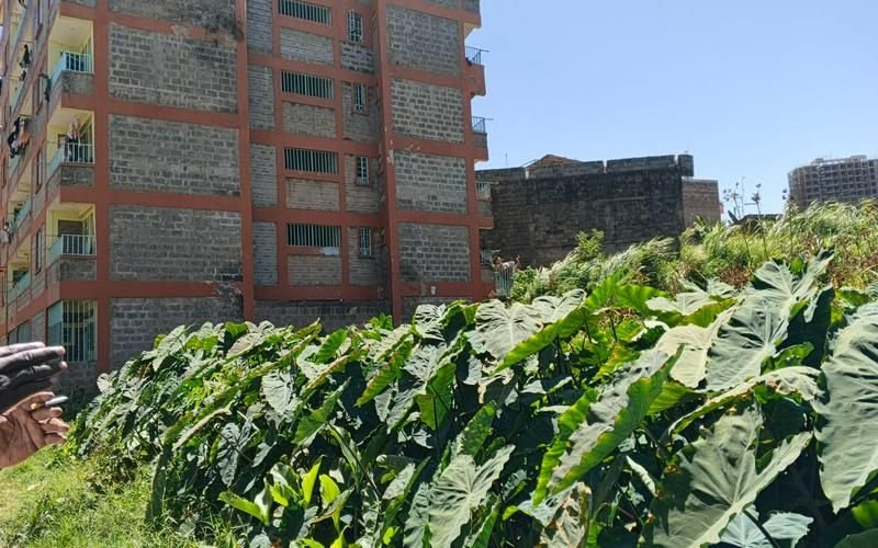 Plot / Land for sale in Hospital Area, Thika